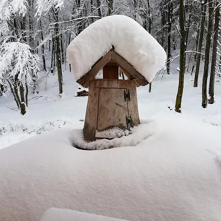 Bed & Breakfast Koca Na Talezu Ribno