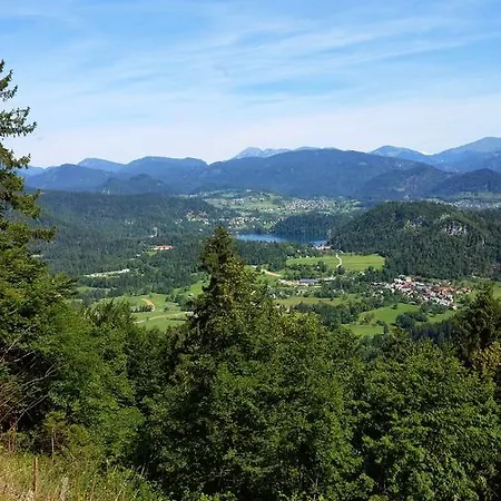 Bed & Breakfast Koca Na Talezu Ribno