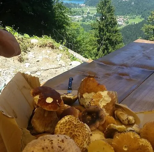 Koca Na Talezu Ribno