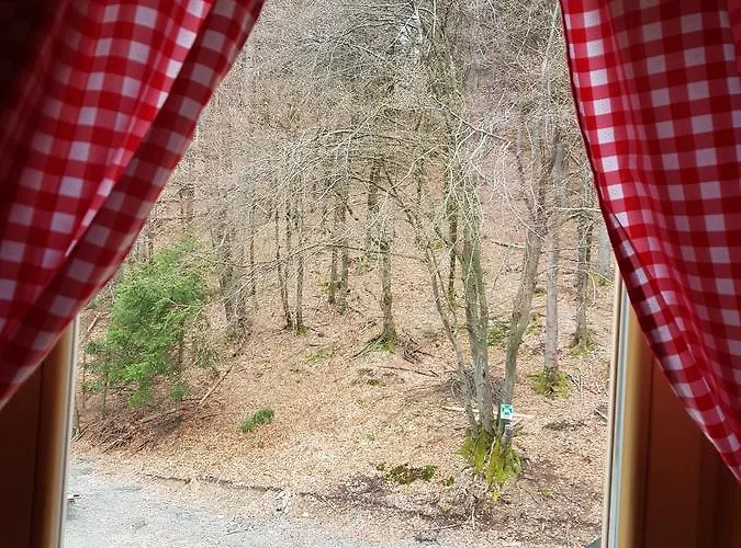 Koca Na Talezu Ribno